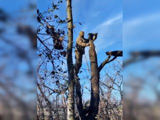 Добровольцы из башкирского батальона спасли кота 