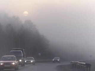 Дороги Башкирии окутает густой туман