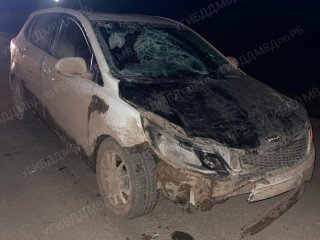 В Башкирии 18-летний водитель насмерть сбил мужчину