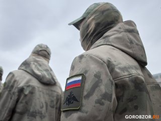 В правительстве России установили, кто и как получит страховые выплаты для добровольцев