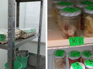 В Уфе зафиксирован случай массового отравления в музыкальной школе