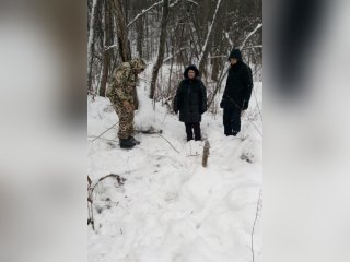 В Башкирии браконьеры незаконно убили лося