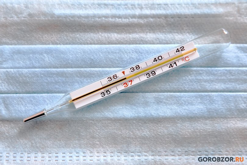 В Башкирии COVID-19 за сутки заразились 582 человека В Башкирии COVID-19 за сутки заразились 582 человека