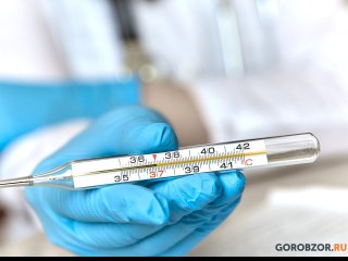 В Башкирии COVID-19 заразился еще 531 человек