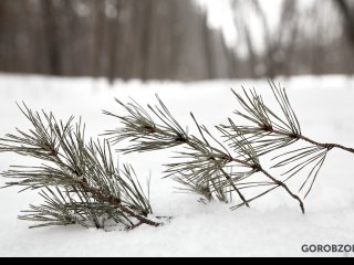 В Башкирии сохранится теплая погода