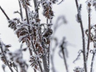 В Башкирии ударят сильные морозы