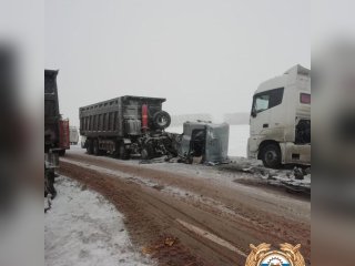 В Башкирии в ДТП с грузовиками погиб водитель