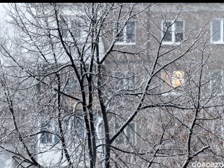 В МЧС Башкирии предупредили о сильном ветре