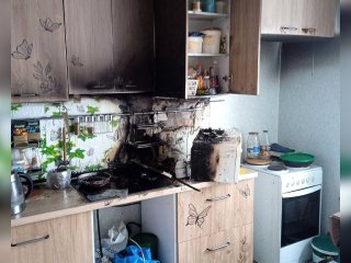 Голодные кошки устроили пожар в квартире в Уфе