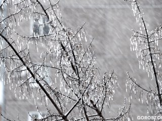 МЧС Башкирии предупредило о сильном ветре