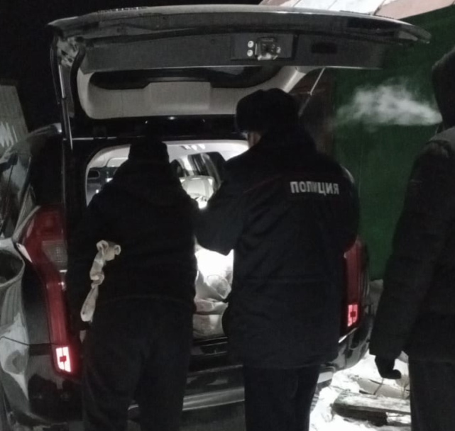 В Башкирии браконьеры убили восемь кабанов В Башкирии браконьеры убили восемь кабанов