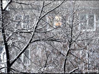 В Башкирии ожидается метель и морозы