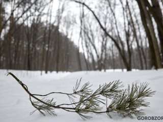В Башкирии ожидается небольшое потепление