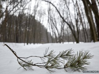 В Башкирии ожидается небольшое потепление