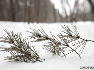 В Башкирии сохранится морозная погода