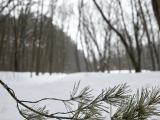 В Башкирии сохранятся сильные морозы