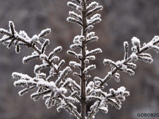 В Башкирии ударят морозы до -28°