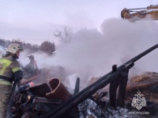 В Башкирии в пожаре погибли 20 овец и три коровы