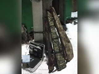 В Башкирии задержали браконьеров, которые убили 8 кабанов