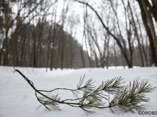 Жителей Уфы предупреждают об ухудшении погоды
