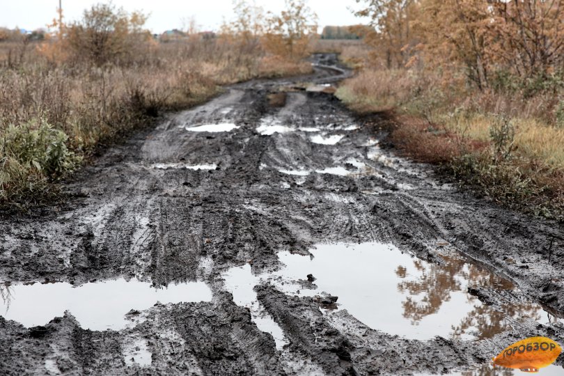 Прокуратура в судебном порядке обязала отремонтировать дорогу в районе Башкирии Прокуратура в судебном порядке обязала отремонтировать дорогу в районе Башкирии