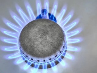 Путин поручил включить садовые товарищества в программу социальной газификации