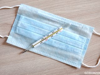 В Башкирии коронавирусом за сутки заразились 86 человек