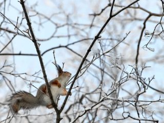 В Башкирии сохранятся 25-градусные морозы
