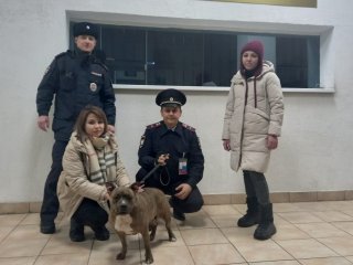 В Уфе мужчина бросил свою собаку на вокзале