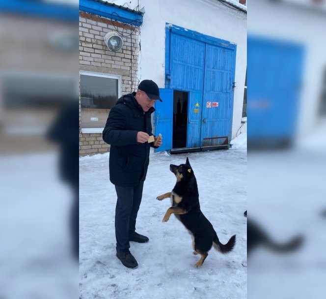 В Уфе пес Барбос работает на аэрологической станции В Уфе пес Барбос работает на аэрологической станции