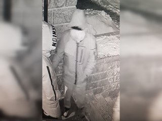 В Уфе полиция ищет банду в балаклавах, которая разбила машины
