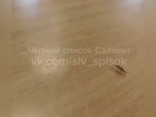 Роспотребнадзор Башкирии проверяет сообщение о наличии тараканов в столовой индустриального колледжа