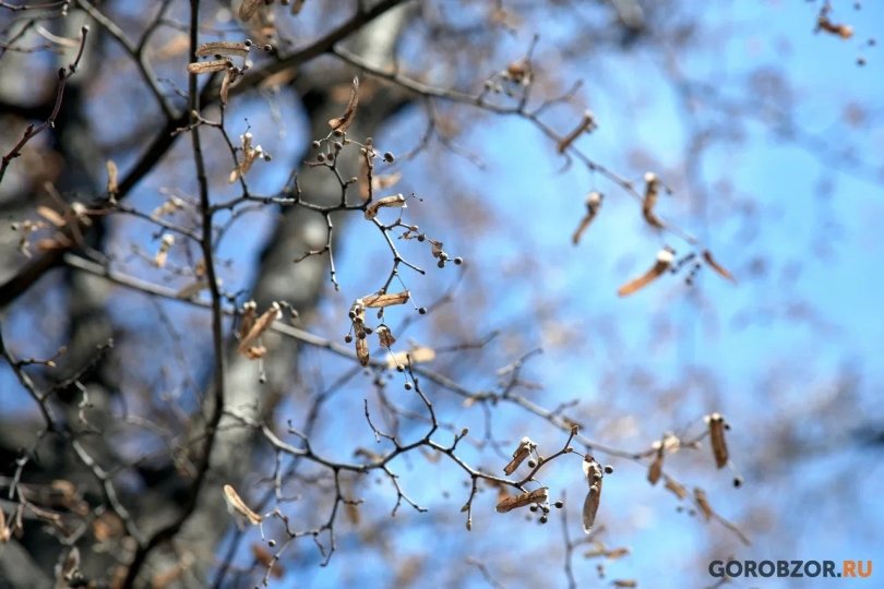 В Башкирии потеплеет до +2 В Башкирии потеплеет до +2