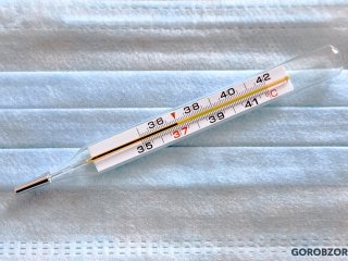 87 человек заразились COVID-19 в Башкирии за сутки