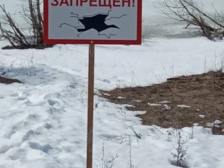 Тело 44-летнего рыбака извлекли из пруда в Башкирии