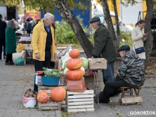 В Башкирии 3 дня будут проходить сельскохозяйственные ярмарки