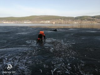 В Башкирии 47-летняя женщина провалилась под лед во время прогулки с собакой