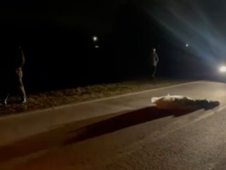 В Башкирии водитель «Лады» сбил насмерть мужчину