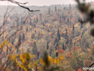 В Белорецком лесничестве Башкирии прошли учения по тушению лесных пожаров