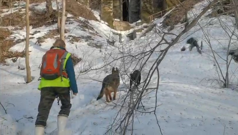 В Уфе продолжаются поиски пропавших подростков В Уфе продолжаются поиски пропавших подростков