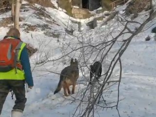 В Уфе продолжаются поиски пропавших подростков
