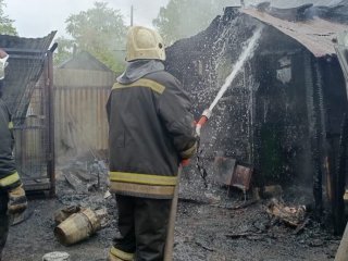 Две собаки погибли при пожаре в уфимском приюте