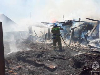 В Башкирии при пожаре в сарае погибли 40 кур