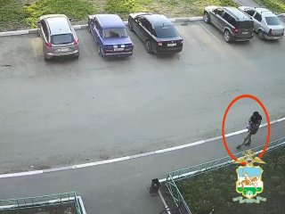 В Башкирии задержали 18-летнего курьера, укравшего у пожилой женщины 100 тысяч рублей