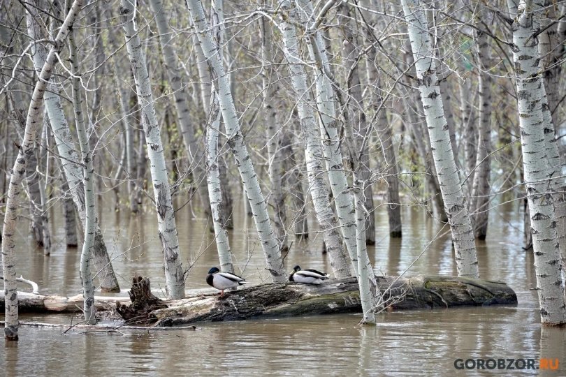 В Уфе остаются затопленными четыре дороги В Уфе остаются затопленными четыре дороги