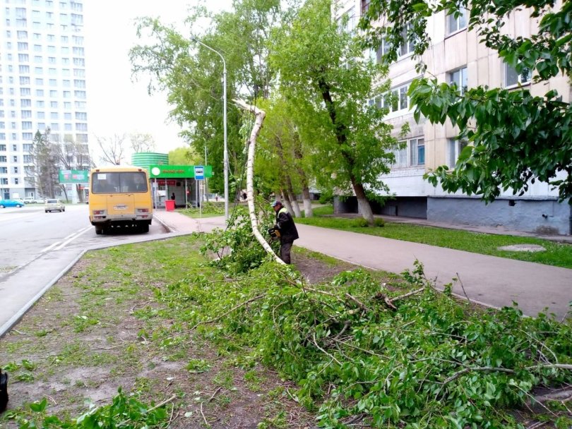 В Уфе сильный ветер снес крышу школы и повредил пять автомобилей В Уфе сильный ветер снес крышу школы и повредил пять автомобилей