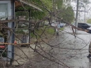 В Уфе устраняют последствия ураганного ветра