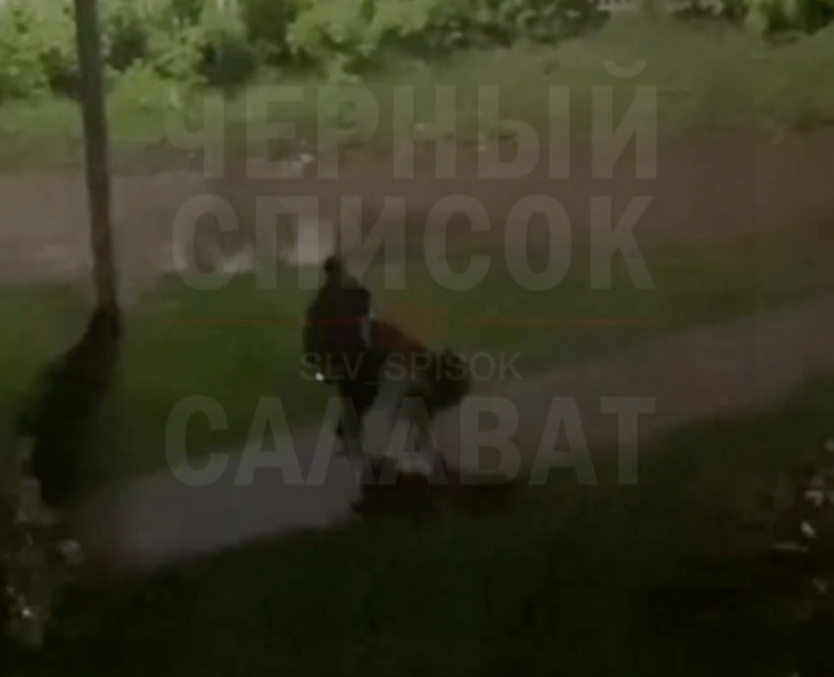 «Таскал за волосы»: в Башкирии мужчина издевался над девушкой на улице «Таскал за волосы»: в Башкирии мужчина издевался над девушкой на улице