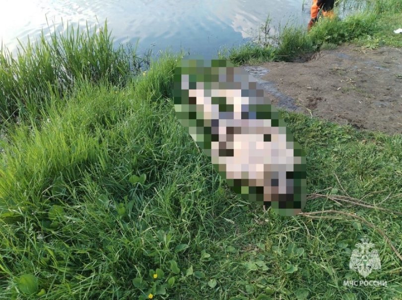 В Башкирии из воды извлекли тела женщины и двух мужчин В Башкирии из воды извлекли тела женщины и двух мужчин