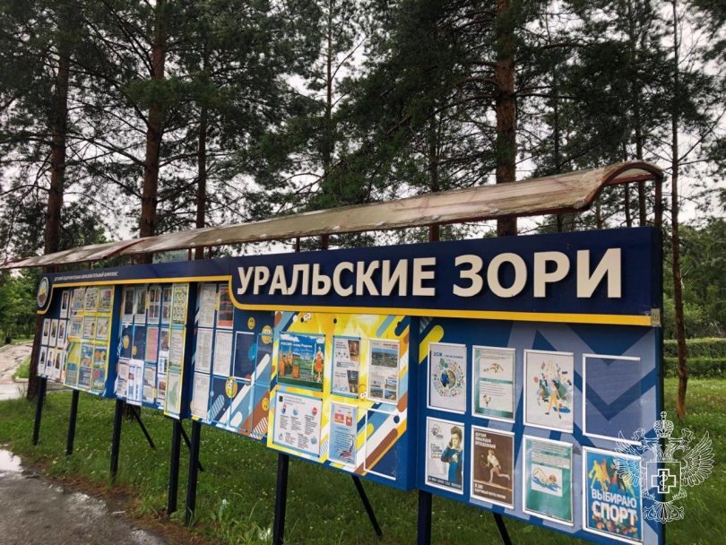 В Башкирии произошло массовое отравление детей в лагере В Башкирии произошло массовое отравление детей в лагере